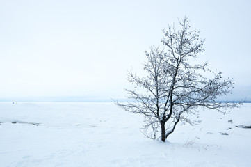 Finnish Gulf in winter