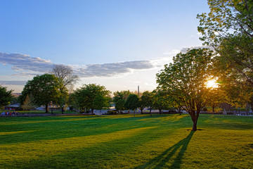 Fascinating view at park and Washington monument