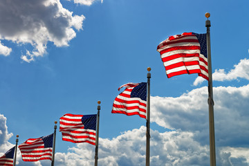 Flags of the United States of America in Washington DC