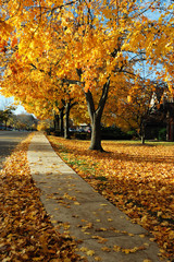 Naklejka premium residential district in autumn color