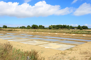 salt water from drying on the island oleron france