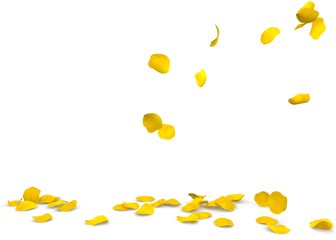Yellow rose petals flying on the floor