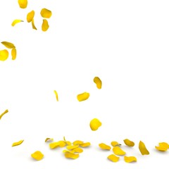 Yellow rose petals flying on the floor