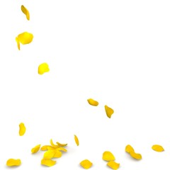 Yellow rose petals flying on the floor