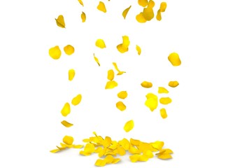Yellow rose petals flying on the floor