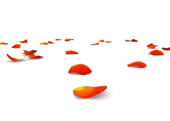 Orange rose petals flying on the floor
