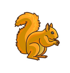 Red Squirrel cartoon drawing. Vector