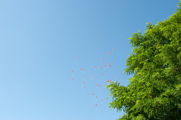 Fliegende rote Herz Luftballons auf einer Hochzeit