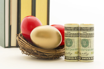 Risky investment environment seen in red nest eggs