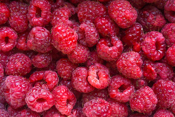 Fresh raspberries background