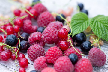 fresh organic berries. raspberries, blueberries, red currants an