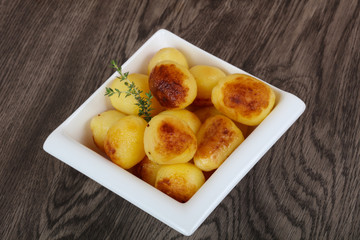 Golden backed potato