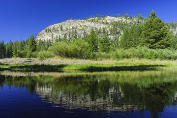 Beautiful landscape in Devils Postpile National Monument