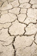 Dried Soil