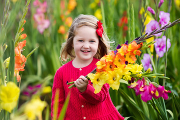 Child picking fresh gladiolus flowers