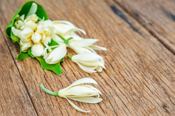 White Champaka flower isolated on the wood background. Michelia