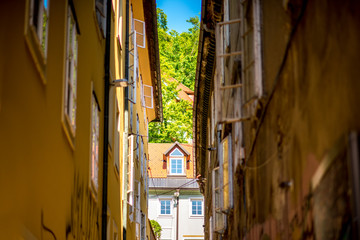 Fototapeta na wymiar Old buildings with castle hill in Ljubljana city