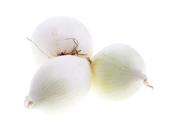 Young fresh onion isolated on a white background.