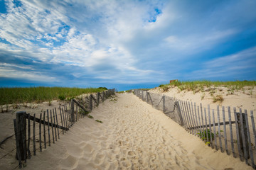 Fence and path through sand dunes at Race Point, in the Province