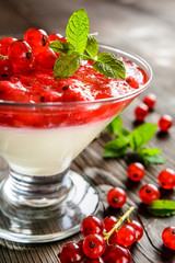 Dessert panna cotta with red currants