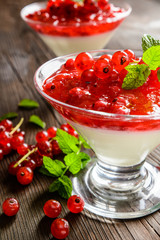 Dessert panna cotta with red currants