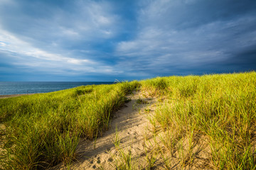 Sand dunes and grasses at Race Point, in the Province Lands at C