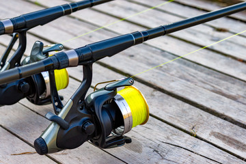 Carp fishing rods