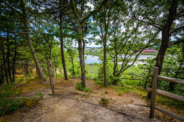 View of a wetland from a hill on Uncle Tim's Island, in Wellflee