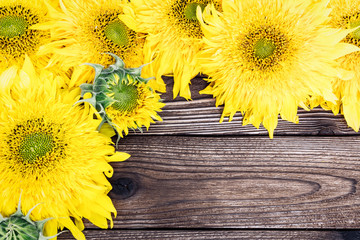 Sunflowers on a wooden brown background. Summer or autumn concep