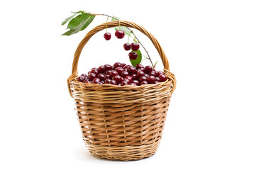 Basket full of fresh red cherry on a white background