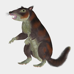 Cronopio Mammal on White - Cronopio was a squirrel-sized mammal that lived with the dinosaurs in the Cretaceous Period of Argentina, South America.