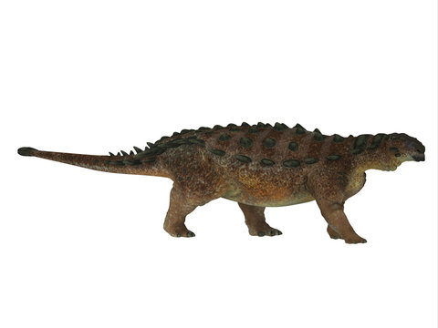 Pinacosaurus Dinosaur Side Profile - Pinacosaurus was a herbivorous Ankylosaurus that lived in the Cretaceous Period of Mongolia and China.