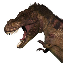 T-Rex Dinosaur Head - Tyrannosaurus Rex was a carnivorous dinosaur that lived in the Cretaceous Period of North America.