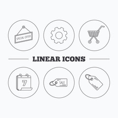 Shopping cart, price tag and sale coupon icons.