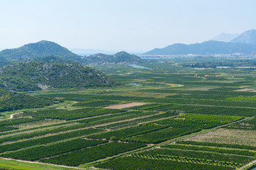 Fototapeta na wymiar aerial view of beautiful Neretva valley in southern Croatia.