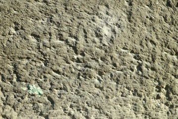 Roughly laid cement plaster in the sun light.
