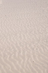 Fototapeta na wymiar Sand Ripples at the Beach in Pismo, California