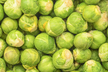 Fototapeta na wymiar brussel cabbage