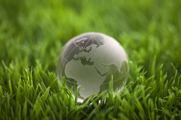 Fototapeta na wymiar Crystal globe on green grass. World environmental concept.