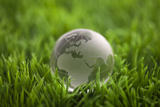 Crystal globe on green grass. World environmental concept.