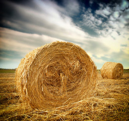 Hay bale in the countryside