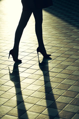 Female legs in glamour shoes