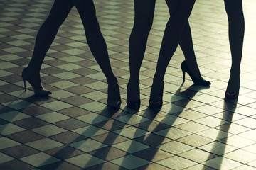 Female legs in stylish shoes