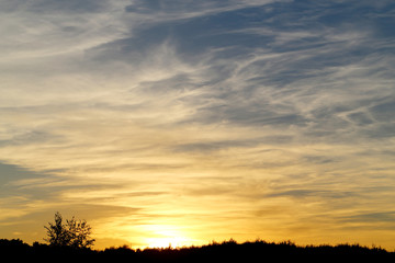 Beautiful summer sunset