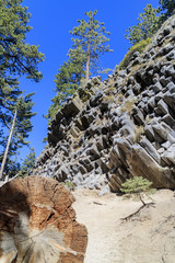 Special Geology in Devils Postpile National Monument