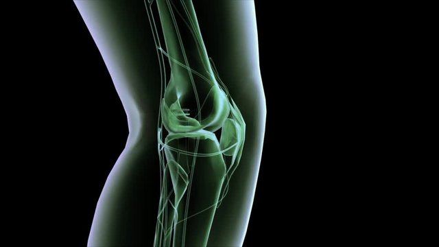 X-ray style animation of knee joint. 