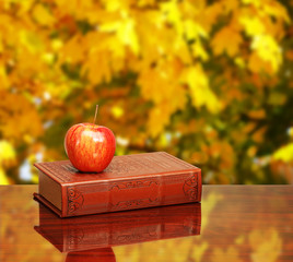 Back to school. Books and apple on the desk over autumn leaves