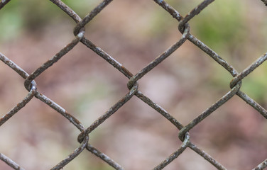 Fototapeta premium Cerca de jardim feita de arame