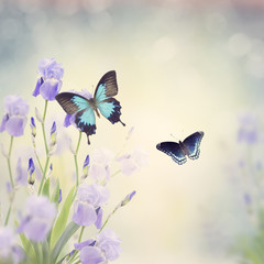 Naklejki  Kwiaty i motyle