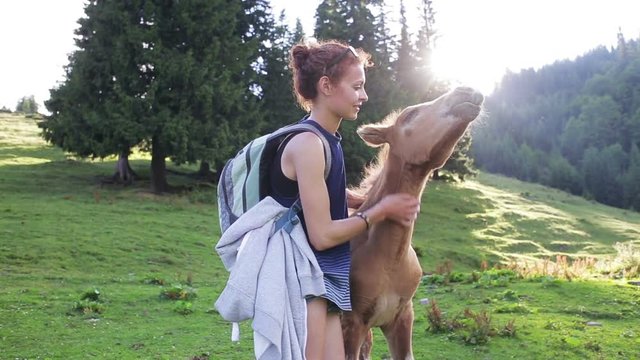Woman traveler in the mountains playing with foal